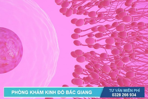 Tinh trùng ít có thể ảnh hưởng đến khả năng sinh sản