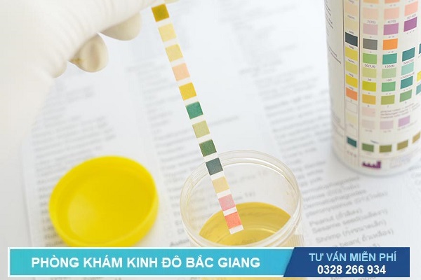 Xét nghiệm nước tiểu trong khám vô sinh nam