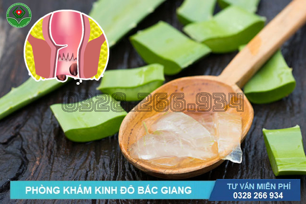 Cách làm co búi trĩ ngoại bằng một số thảo mộc tự nhiên