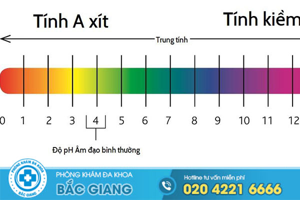 do-ph-am-dao-binh-thuong-cach-kiem-tra-can-bang-va-khoi-phuc-do-ph-am-dao