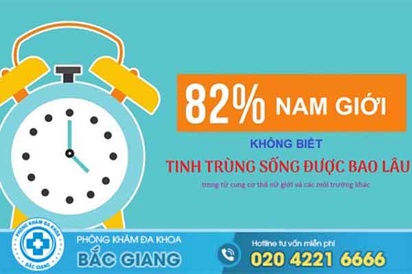 tinh-trung-song-duoc-bao-lau-trong-tu-cung-cua-co-the-nu-gioi